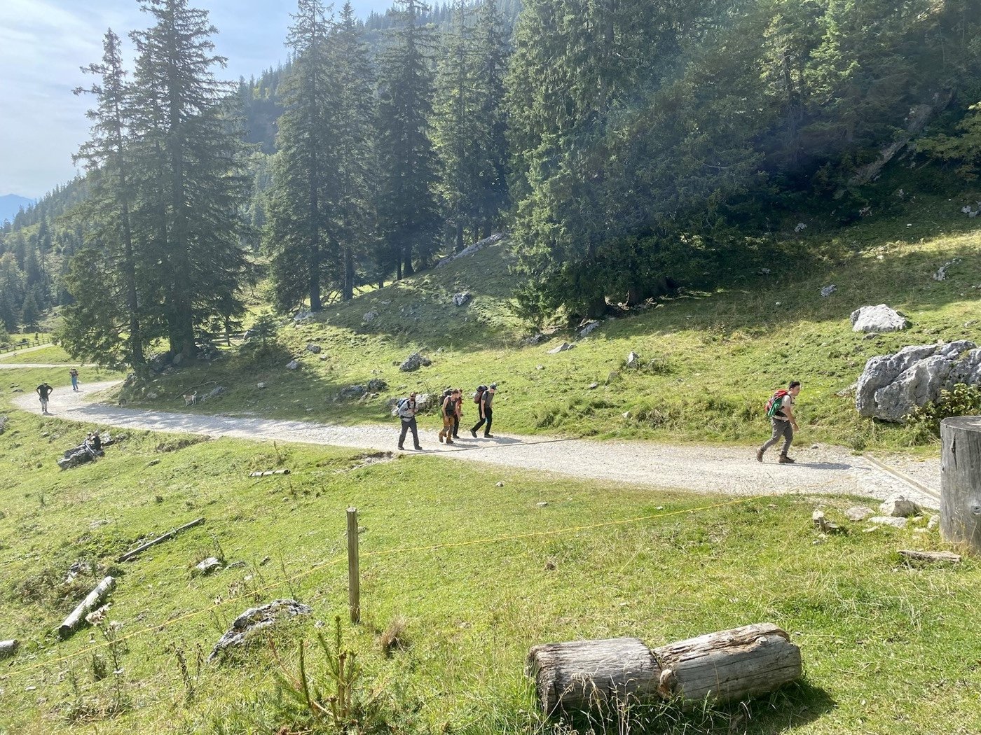 Eine kleine Gruppe wandert auf einem Schotterweg über eine Almwiese, im Hintergrund Bergwald
